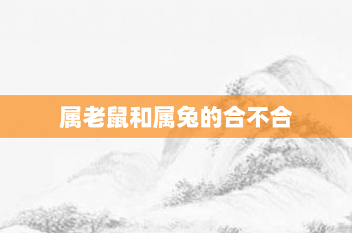 属老鼠和属兔的合不合