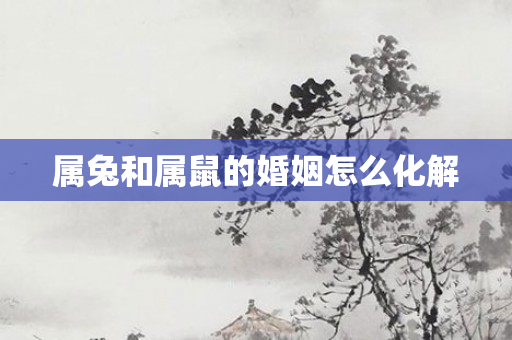 属兔和属鼠的婚姻怎么化解