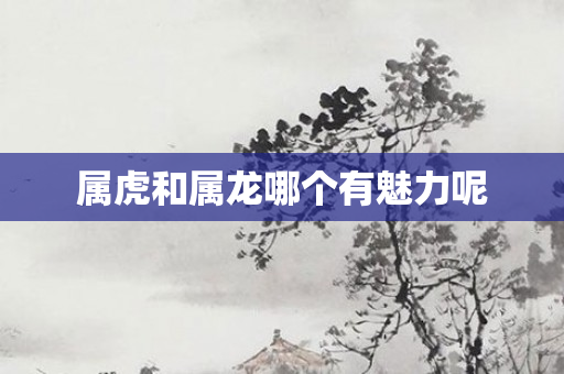 属虎和属龙哪个有魅力呢