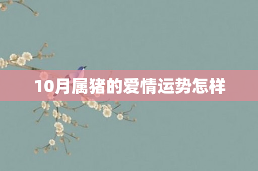 10月属猪的爱情运势怎样