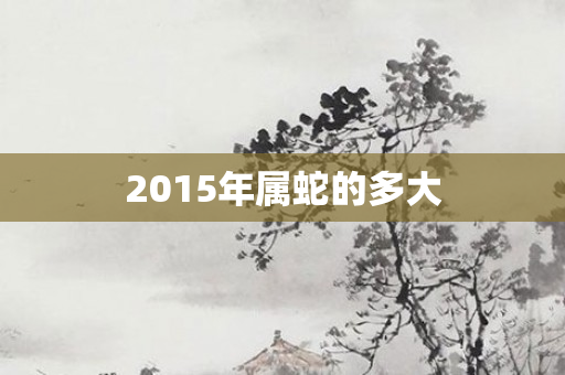 2015年属蛇的多大