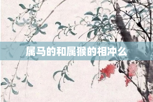 属马的和属猴的相冲么
