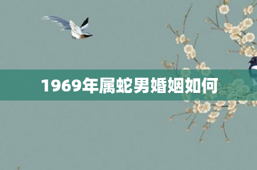 1969年属蛇男婚姻如何