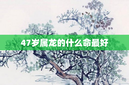 47岁属龙的什么命更好
