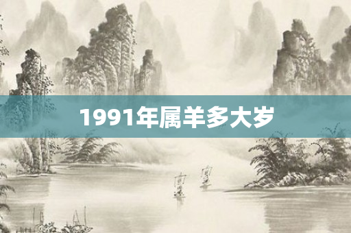 1991年属羊多大岁