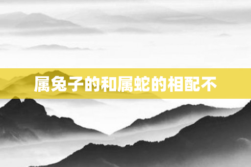 属兔子的和属蛇的相配不