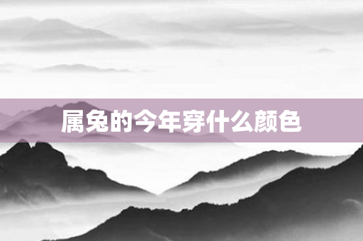 属兔的今年穿什么颜色