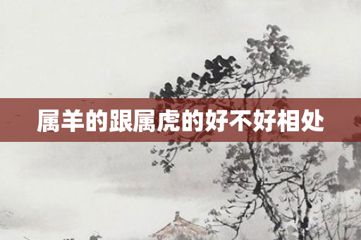 属羊的跟属虎的好不好相处