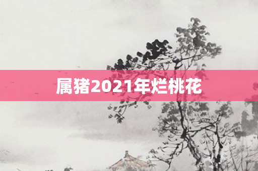 属猪2021年烂桃花