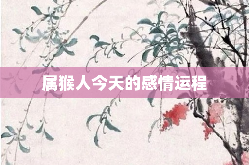 属猴人今天的感情运程