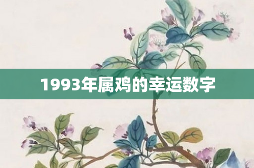 1993年属鸡的幸运数字