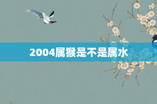 2004属猴是不是属水
