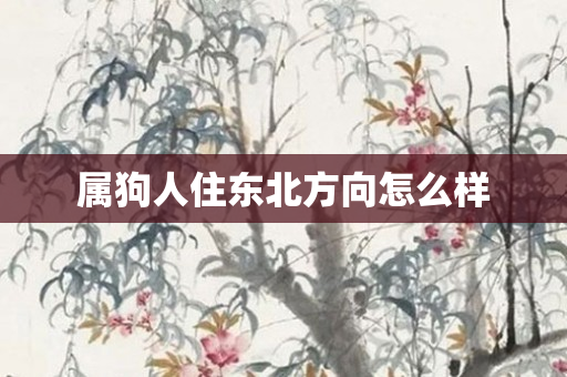 属狗人住东北方向怎么样
