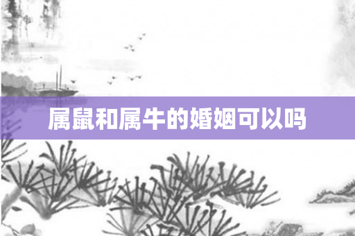 属鼠和属牛的婚姻可以吗