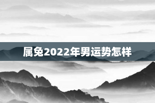属兔2022年男运势怎样