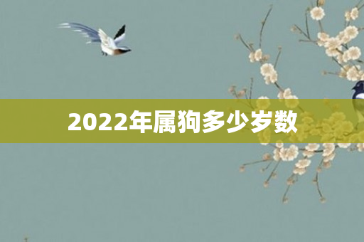 2022年属狗多少岁数