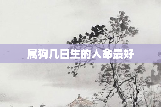 属狗几日生的人命更好
