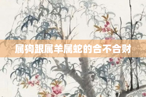 属狗跟属羊属蛇的合不合财