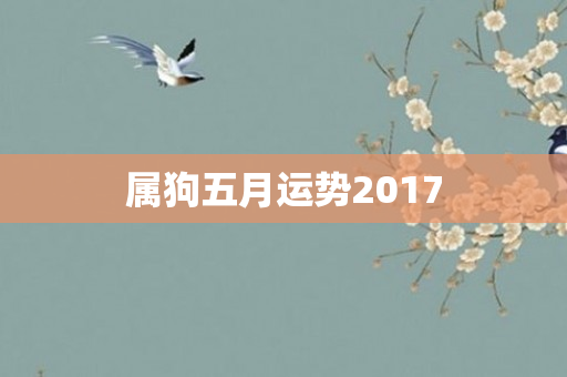 属狗五月运势2017