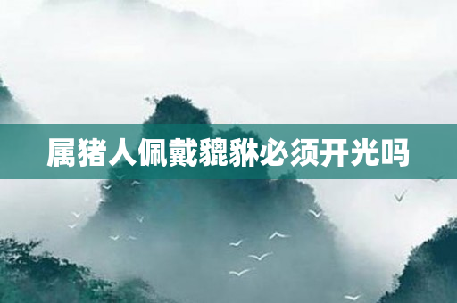 属猪人佩戴貔貅必须开光吗