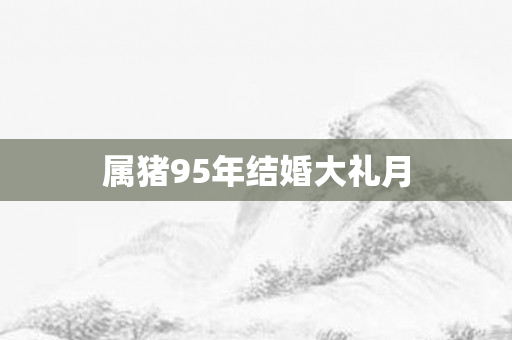 属猪95年结婚大礼月