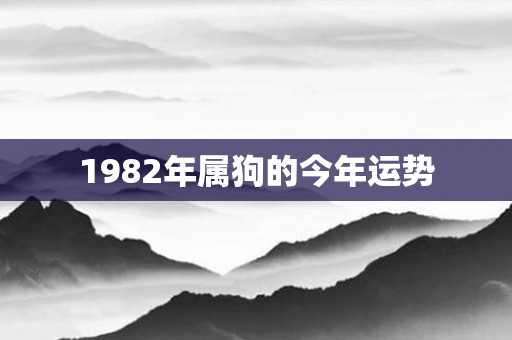 1982年属狗的今年运势