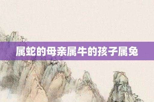 属蛇的母亲属牛的孩子属兔