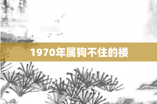 1970年属狗不住的楼