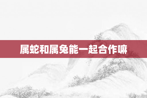 属蛇和属兔能一起合作嘛