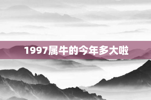 1997属牛的今年多大啦