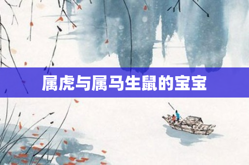 属虎与属马生鼠的宝宝