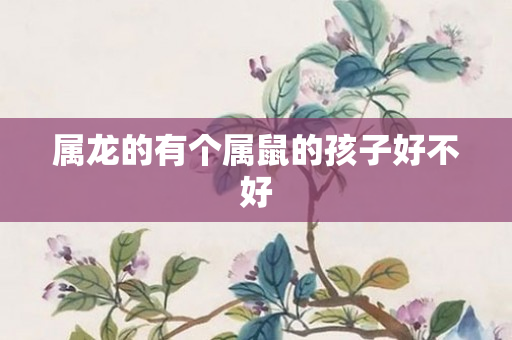 属龙的有个属鼠的孩子好不好