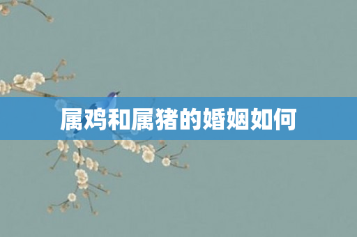 属鸡和属猪的婚姻如何