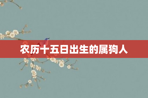 农历十五日出生的属狗人