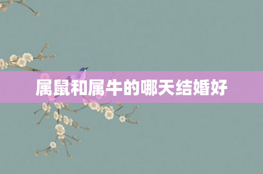 属鼠和属牛的哪天结婚好