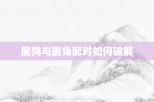 属狗与属兔配对如何破解