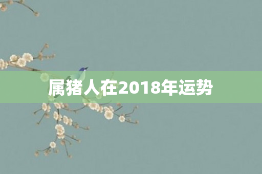 属猪人在2018年运势