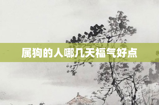 属狗的人哪几天福气好点