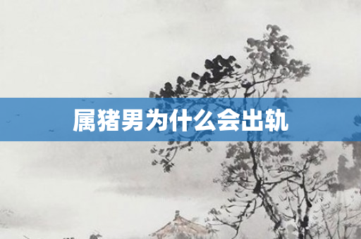 属猪男为什么会出轨