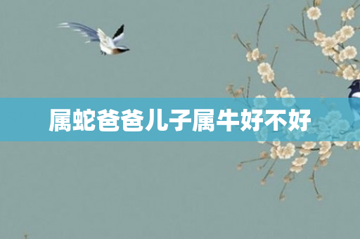 属蛇爸爸儿子属牛好不好