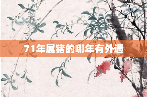 71年属猪的哪年有外遇