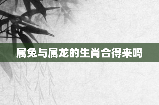 属兔与属龙的生肖合得来吗
