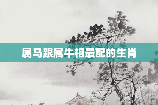 属马跟属牛相最配的生肖