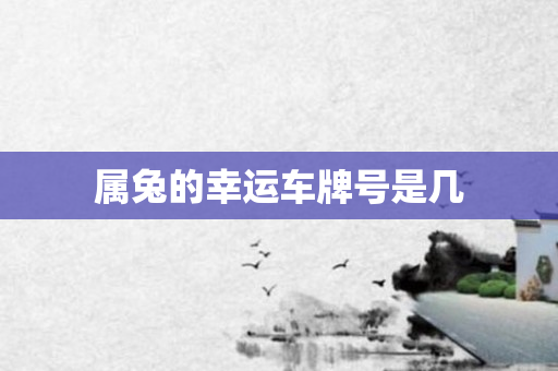 属兔的幸运车牌号是几