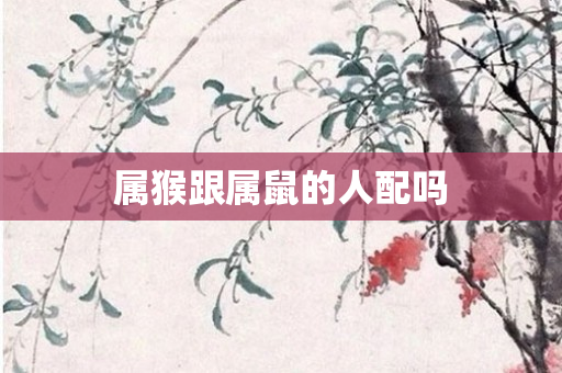 属猴跟属鼠的人配吗
