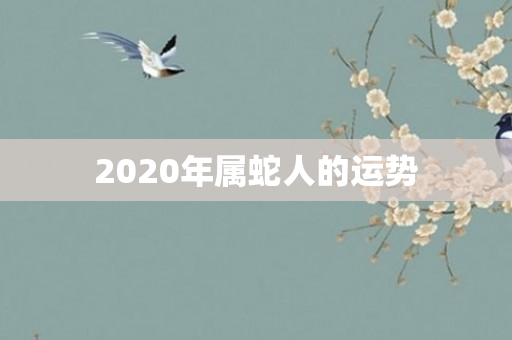 2020年属蛇人的运势