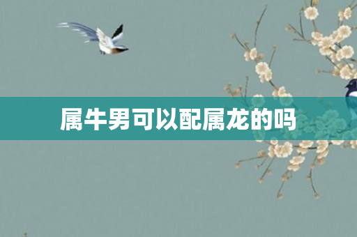 属牛男可以配属龙的吗