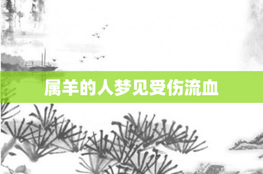 属羊的人梦见受伤流血