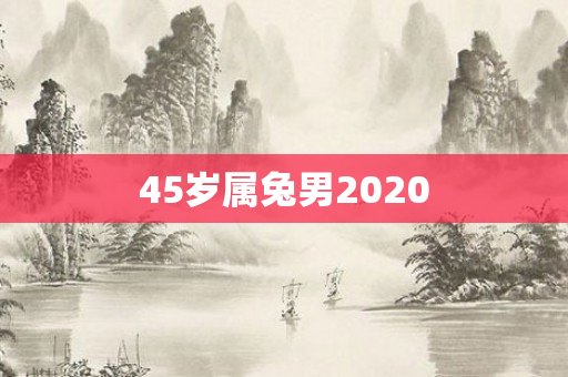 45岁属兔男2020
