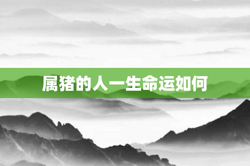 属猪的人一生命运如何